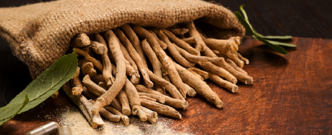 De meest effectieve Ashwagandha-supplementen in 2023 – een kopersgids